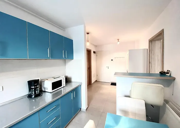 Coresi Nest - Pet Friendly Apartment Brasov